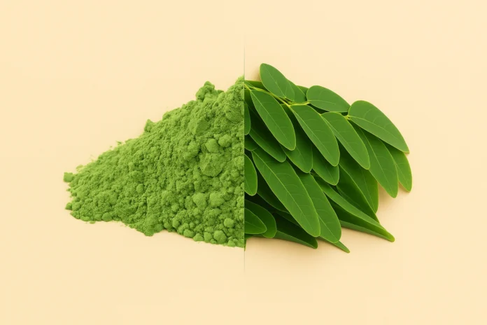 المورينجا عشبة المورينجا كا اوراق و بودرة