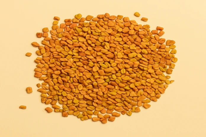 fenugreek-seeds بذور الحلبة خلفية بيج سادة
