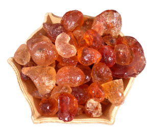 توضيح شكل الصمغ العربي الهشاب