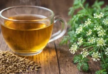 فوائد اليانسون: للبطن والمعدة والغازات والكحة والنوم فوائد اليانسون شاي و بذور و زهرة