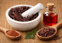 الخواجوا أو ساق الحمام: ماهو ؟ و ماهي فوائده و أضرارة + طريقة الاستخدام خواجوا على شكل جذور و بودرة و زيت